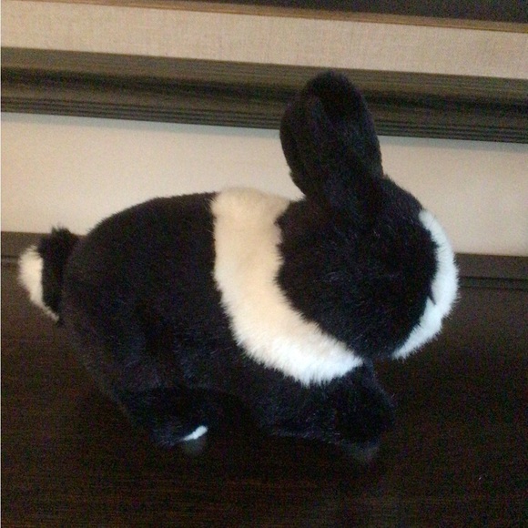 Black & White Rabbit Dutch Rabbit - Picture 2 of 2